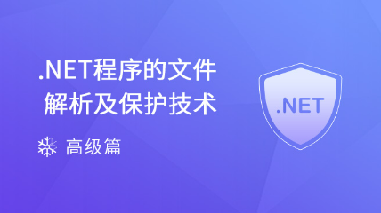 .NET程序的文件解析及保护技术