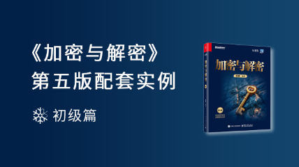 《加密与解密》第五版